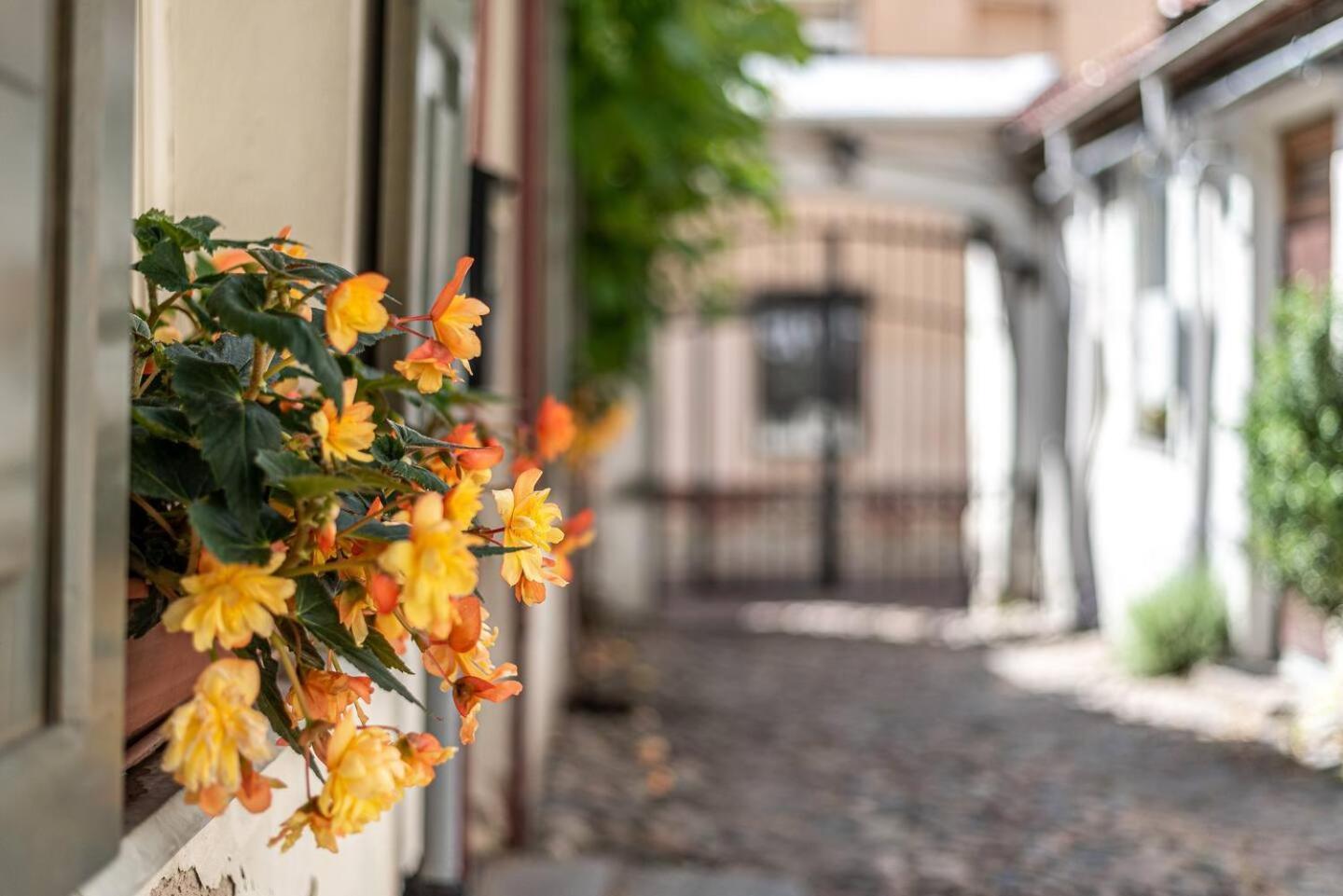 Oldtown #d Apartment